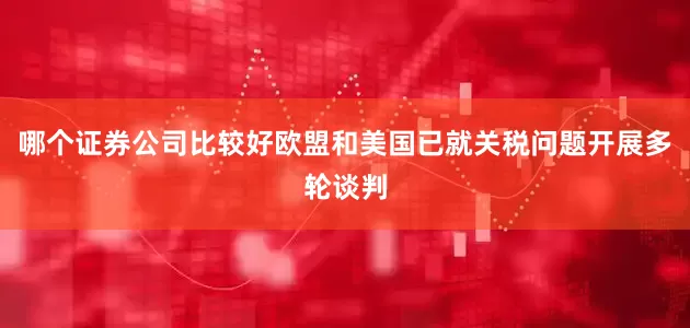 哪个证券公司比较好欧盟和美国已就关税问题开展多轮谈判