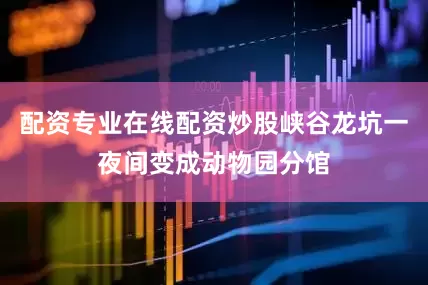 配资专业在线配资炒股峡谷龙坑一夜间变成动物园分馆